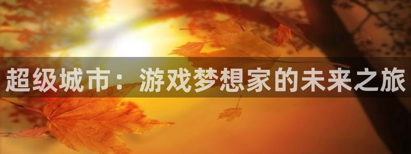 顺赢通用版：超级城市：游戏梦想家的未来之旅