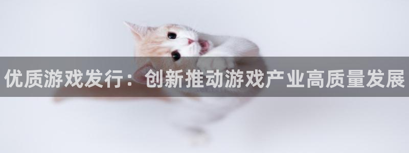 顺盈平台注册网址是什么：优质游戏发行：创新推动游戏产业高质量发展