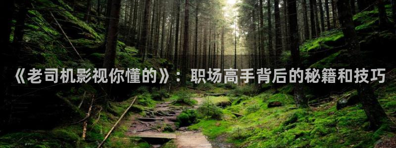 樱桃app最新下载地址