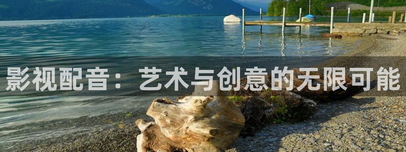 狗狗樱桃眼手术视频：影视配音：艺术与创意的无限可能