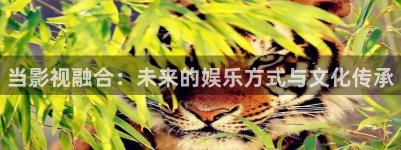 污樱桃视频下载