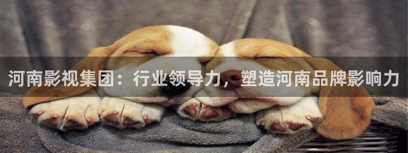 樱桃私人视频：河南影视集团：行业领导力，塑造河南品牌影响力